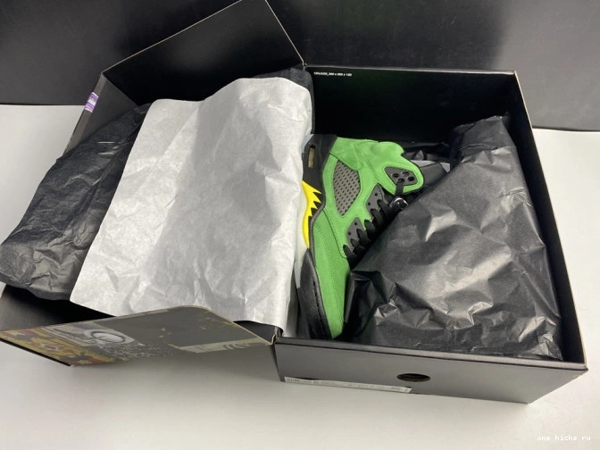 Rep Air Ducks 5 CK6631-307 Jordan SE Oregon 0814